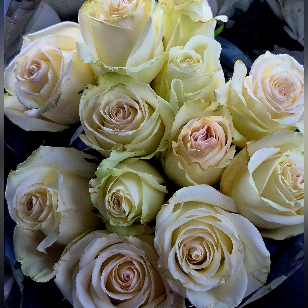 APPAREL • BEAUTY • ACCESSORIES